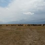 P1010883(1).JPG