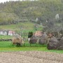 Haystacks in the countryside