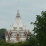 P1020885(1).JPG