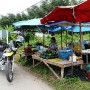 P1020948(1).JPG