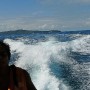 P1020992(1)(1).jpg