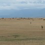 P1010908(1).JPG
