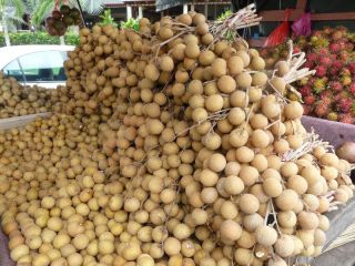 The delicious longans of Malaysia