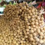 The delicious longans of Malaysia