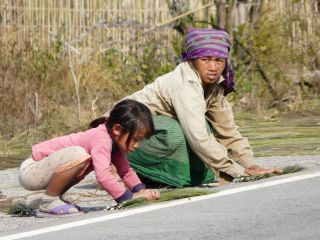 Kids start helping out at a very young age in Laos.