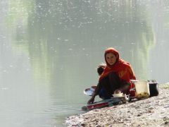 P1020535(1).JPG
