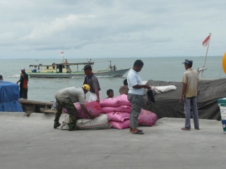 On 02/Mar/09, I'm anxiously looking for a way out Tarakan island to ... anywhere.