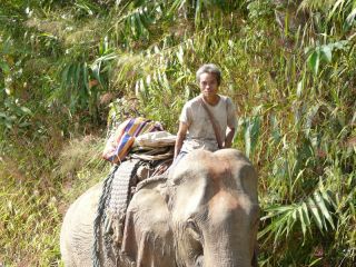 A chance encounter with this couple out in the nature.