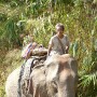 A chance encounter with this couple out in the nature.