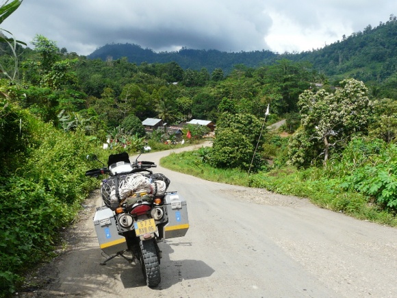 This is the kind of quiet country road of South Kalimantan that greeted me. Loved it.